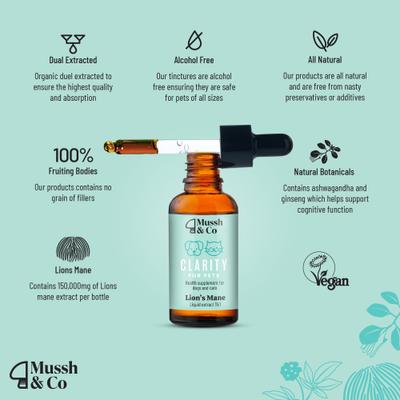 Mussh & Co Clarity Lions Mane Mushroom Liquid Supplement for Dogs & Cats, 1.69-fl oz bottle