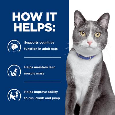 Brain Care + j/d Joint Care Salmon Dry Cat Food, 4-lb bag