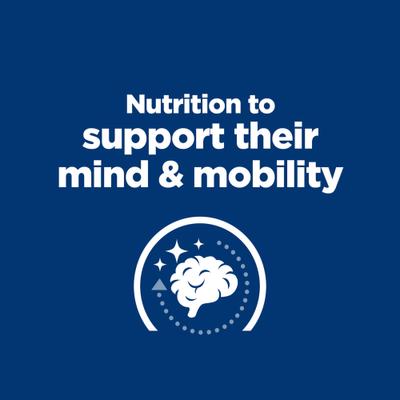 Brain Care + j/d Joint Care Rice & Turkey Wet Dog Food, 13-oz can, case of 12