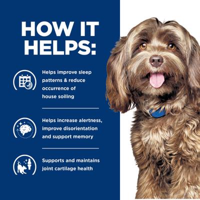 Brain Care + j/d Joint Care Rice & Turkey Wet Dog Food, 13-oz can, case of 12