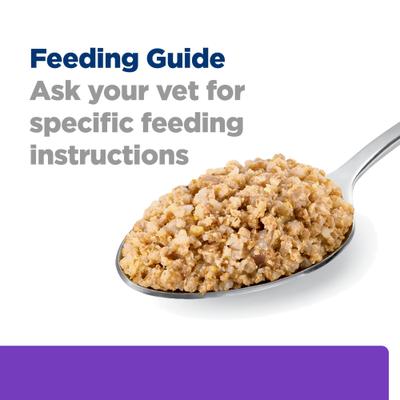 Brain Care + j/d Joint Care Rice & Turkey Wet Dog Food, 13-oz can, case of 12