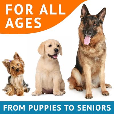 Suplemento masticable para la piel y el pelaje de perros con sabor a salmón para aliviar la alergia y la picazón, 180 unidades