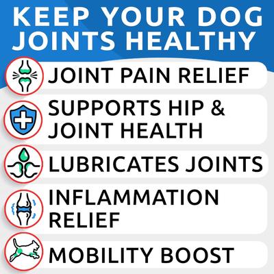 Glucosamine Chondroitin Peanut Butter Flavored Hip & Joint Chews Supplement for Dogs, 120 count