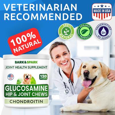Glucosamine Chondroitin Peanut Butter Flavored Hip & Joint Chews Supplement for Dogs, 120 count