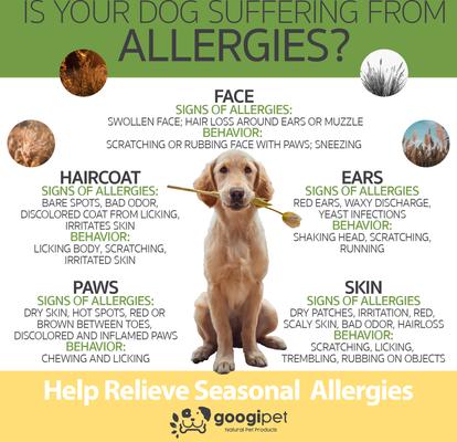 Allergy Relief Peanut Butter Flavored Chew Supplement for Dogs, 90 count