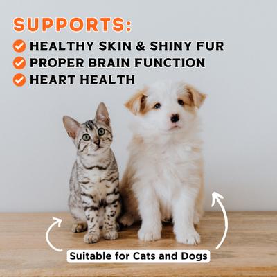 Salmon Pate Dog & Cat Food Topper, 2.46-oz pouch, case of 6