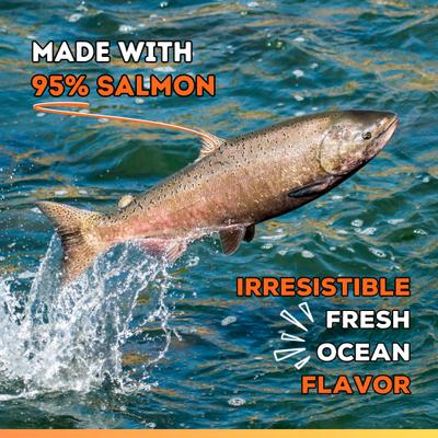 Salmon Pate Dog & Cat Food Topper, 2.46-oz pouch, case of 6