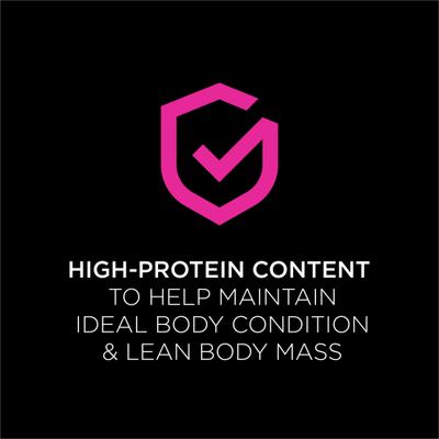 UR Urinary St/Ox Savory Selects Salmon in Sauce Wet Cat Food, 5.5-oz can, case of 4