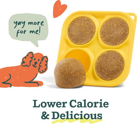 Pupsicle Mix Pumpkin Balanced Belly Lickable Dog Treats, 5.5-oz bag