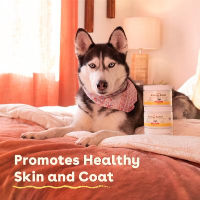 Allergy Supplement for Dogs, 60 count