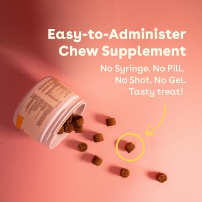 Allergy Supplement for Dogs, 60 count