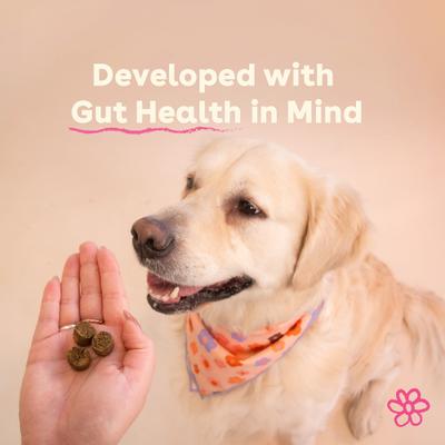 Allergy Supplement for Dogs, 60 count