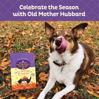 by Wellness Fall Favorite P-Nutter Oven-Baked Biscuits Dog Treats, 16-oz bag