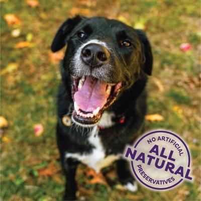 by Wellness Fall Favorite P-Nutter Oven-Baked Biscuits Dog Treats, 16-oz bag