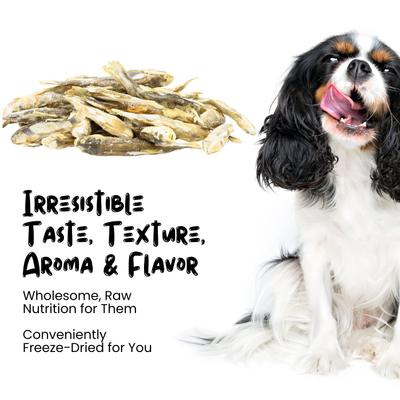 Minnows Freeze-Dried Raw Dog & Cat Treats, Grain-Free, 1-oz bag