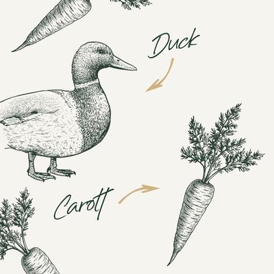 Flavour Mill Duck & Carrot Dog Food Topper, 45-gm jar