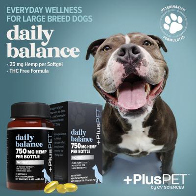 Pet Daily Balance Softgel Full Spectrum Hemp Extract Health Supplement for Large Breed Dogs, 30 count