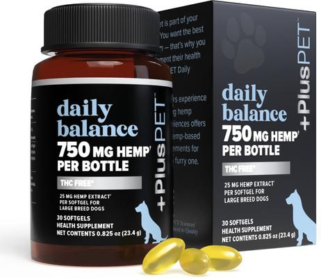 Pet Daily Balance Softgel Full Spectrum Hemp Extract Health Supplement for Large Breed Dogs, 30 count