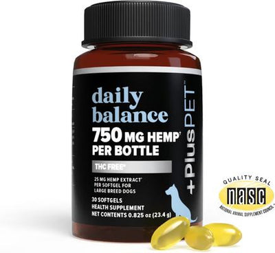 Pet Daily Balance Softgel Full Spectrum Hemp Extract Health Supplement for Large Breed Dogs, 30 count