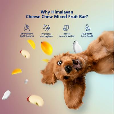 Himalayan Cheese Chews Large All Natural High-Protein Grain-Free with Apple Coconut & Mango Dental Dog Treats, 3 count