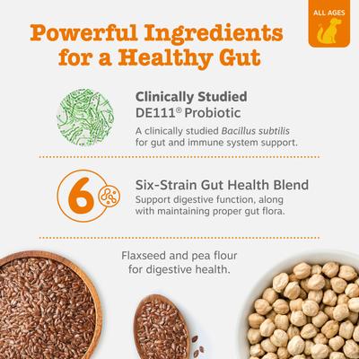 Bundle: Zesty Paws Wild Alaskan Salmon Oil Formula Liquid Skin & Coat Supplement, 32-oz bottle + Probiotic Bites Pumpkin Flavored Soft Chews Gut Flora & Digestive Supplement for Dogs, 90 count