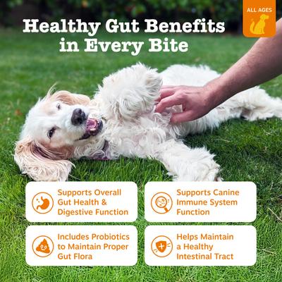 Probiotic Bites Gut Health, Soporte Digestivo sabor Calabaza, Perros. 3 opc