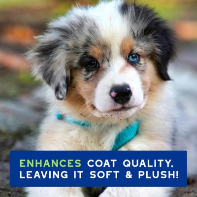 Skin & Coat SPA UltraSafe Puppy Shampoo, 16-fl oz bottle