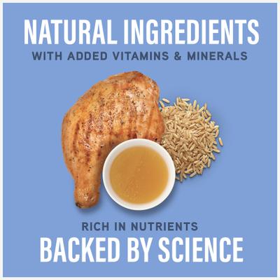 Specialized Nutrition Joint & Muscle Health Adult Chicken & Brown Rice Formula Wet Dog Food, 12.7-oz can, case of 12