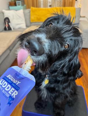 Buddy Budder Mix Flavor Squeeze Lickable Dog Treat, 4-oz pouch, 9 count