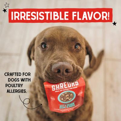 Stella's Shredrs Adult Grain-Free Grass Fed Beef & Wild Caught Salmon Recipe in Broth Wet Dog Food, 2.8-oz pouch, case of 12