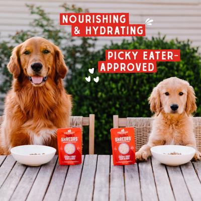 Stella's Shredrs Adult Grain-Free Grass Fed Beef & Wild Caught Salmon Recipe in Broth Wet Dog Food, 2.8-oz pouch, case of 12