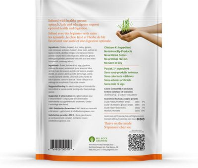 Li'l Treats Chicken Flavor Soft & Chewy Dog Treats, 12-oz bag