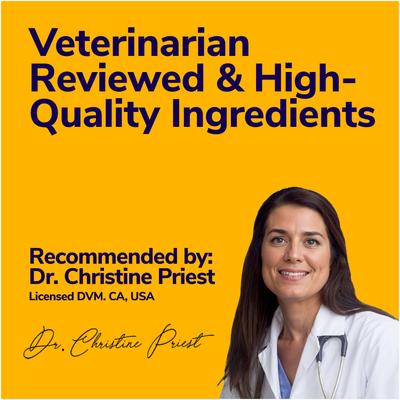 Medicated Dog Shampoo for Antibacterial Itchy Skin, Yeast Infection, Hot Spot & Allergy Relief with Hydrocortisone, 16-fl oz bottle