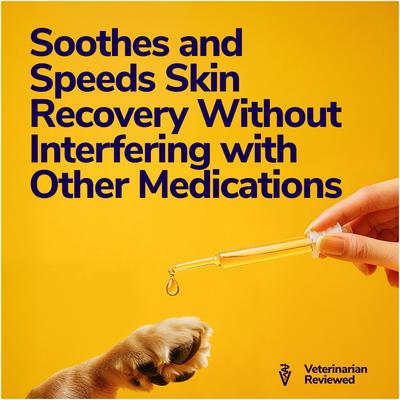 Medicated Dog Shampoo for Antibacterial Itchy Skin, Yeast Infection, Hot Spot & Allergy Relief with Hydrocortisone, 16-fl oz bottle