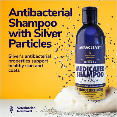 Medicated Dog Shampoo for Antibacterial Itchy Skin, Yeast Infection, Hot Spot & Allergy Relief with Hydrocortisone, 16-fl oz bottle