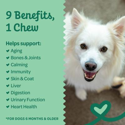 9-in-1 Multi-Chews Chicken Flavor Supplement for Dogs, 6.3-oz bag