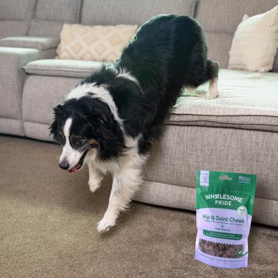 Mobility Bites Chicken Flavor Hip & Joint Chew Supplement for Dogs, 7.9-oz bag