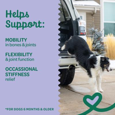 Mobility Bites Chicken Flavor Hip & Joint Chew Supplement for Dogs, 7.9-oz bag