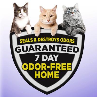 Bundle: Iams ProActive Health Indoor Weight & Hairball Care Dry Food + Arm & Hammer Litter Slide Multi-Cat Scented Clumping Clay Cat Litter