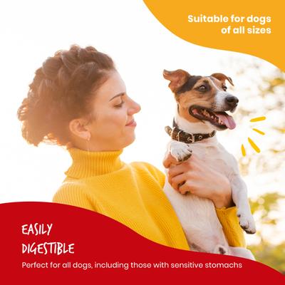 Beefhide Kabobs Jerky Dog Treats, 40-oz bag