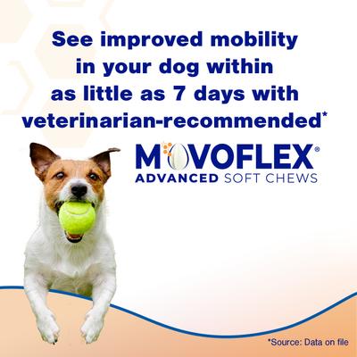 MOVOFLEX Advanced Soft Chews Joint Supplement for Large Breed Dogs, 60 count