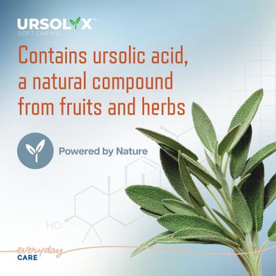 URSOLYX Soft Chew Supplement for Large Breed Dogs, 60 count