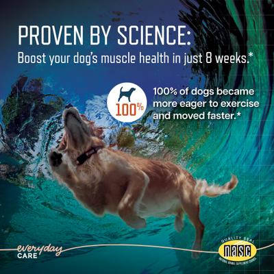 URSOLYX Soft Chew Supplement for Large Breed Dogs, 60 count