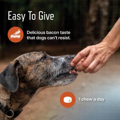 URSOLYX Soft Chew Supplement for Small Breed Dogs, 60 count