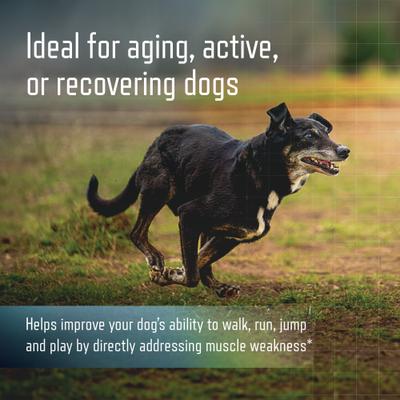 URSOLYX Soft Chew Supplement for Small Breed Dogs, 60 count