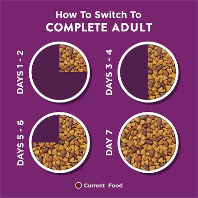 Complete Adult Lamb Flavor Dry Dog Food, 44-lb bag