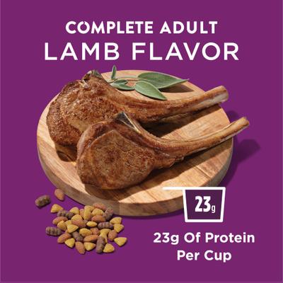 Complete Adult Lamb Flavor Dry Dog Food, 44-lb bag