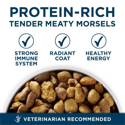 +Plus Natural Large Breed Chicken Muscle & Joint Support Dry Dog Food, 31.1-lb bag