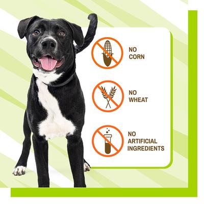 Skin + Coat Dog Chews, 30 count