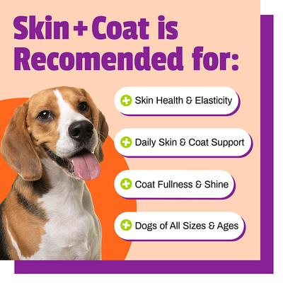 Masticables para perros Skin + Coat, 30 unidades